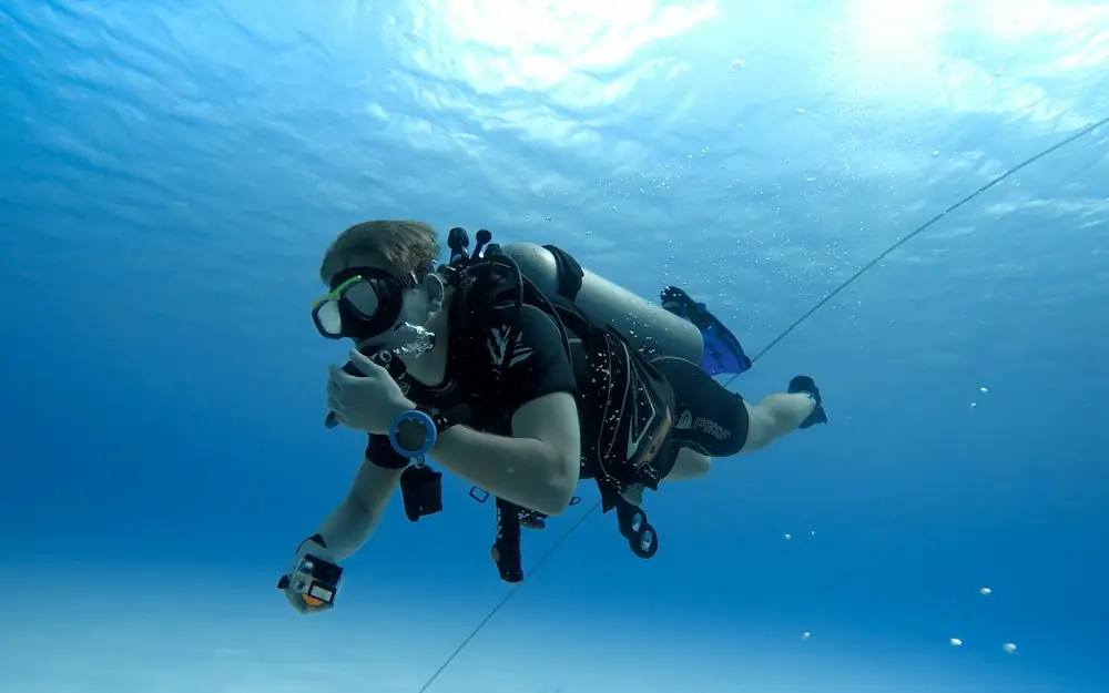 person in black and white diving suit under water
