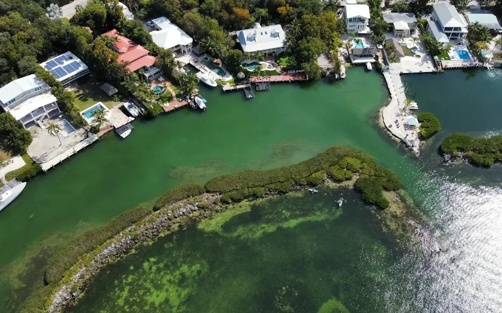 an aerial view of a body of water surrounded by houses