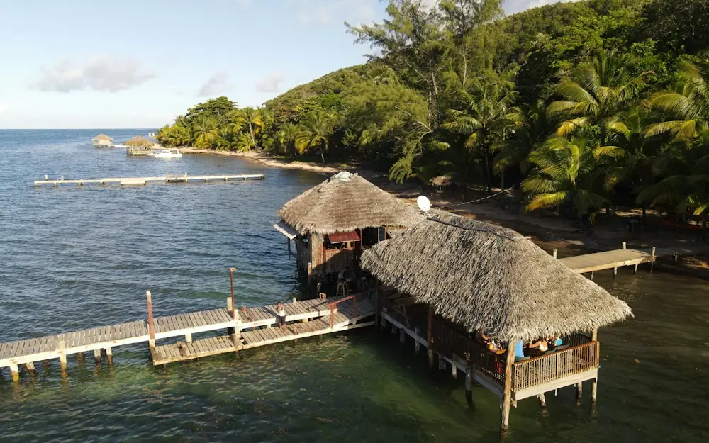 a dock with a thatched roof next to the ocean